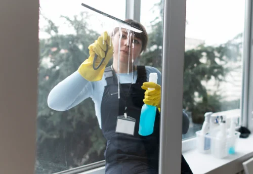 Nettoyage de vitres intérieures et extérieures à Steinbrunn-le-Bas